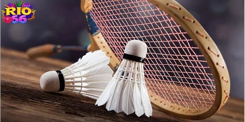 Bỏ túi những mẹo chơi cầu lông hay giúp hội viên tự tin tham gia ván đấu